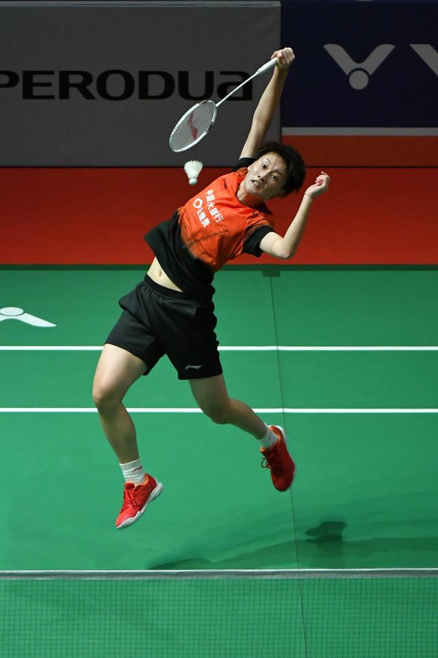 多项殊荣的 多项殊荣的