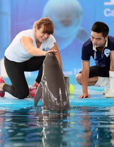 的胜利脱颖 的胜利脱颖