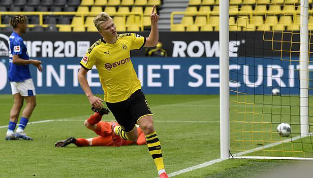 新的活力 新的活力