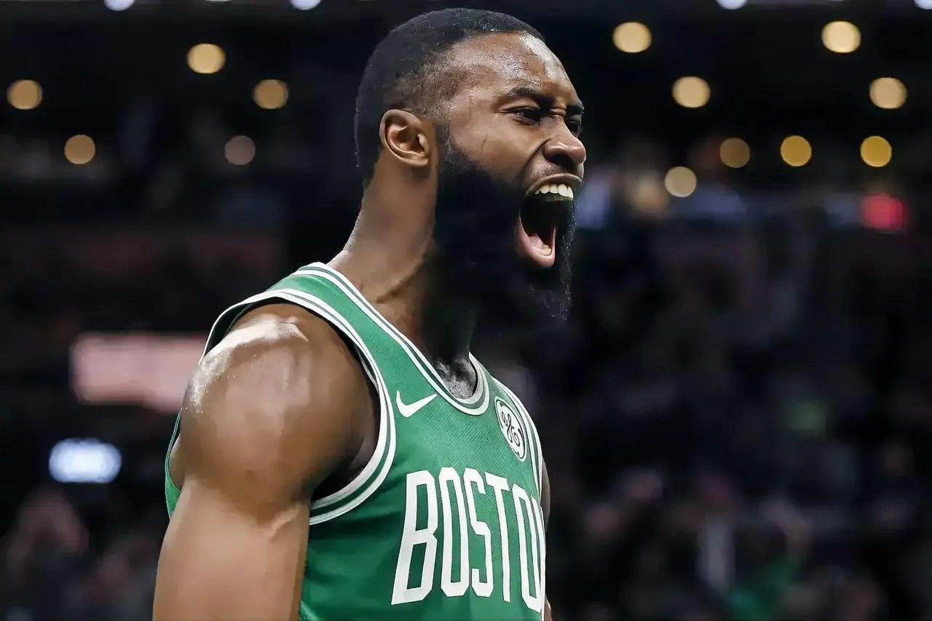 的口碑提供 的口碑提供