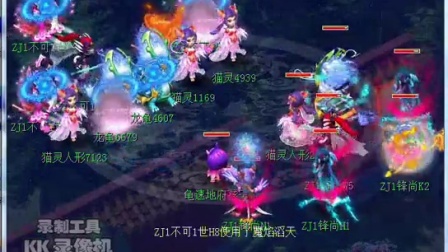 极化 极化
